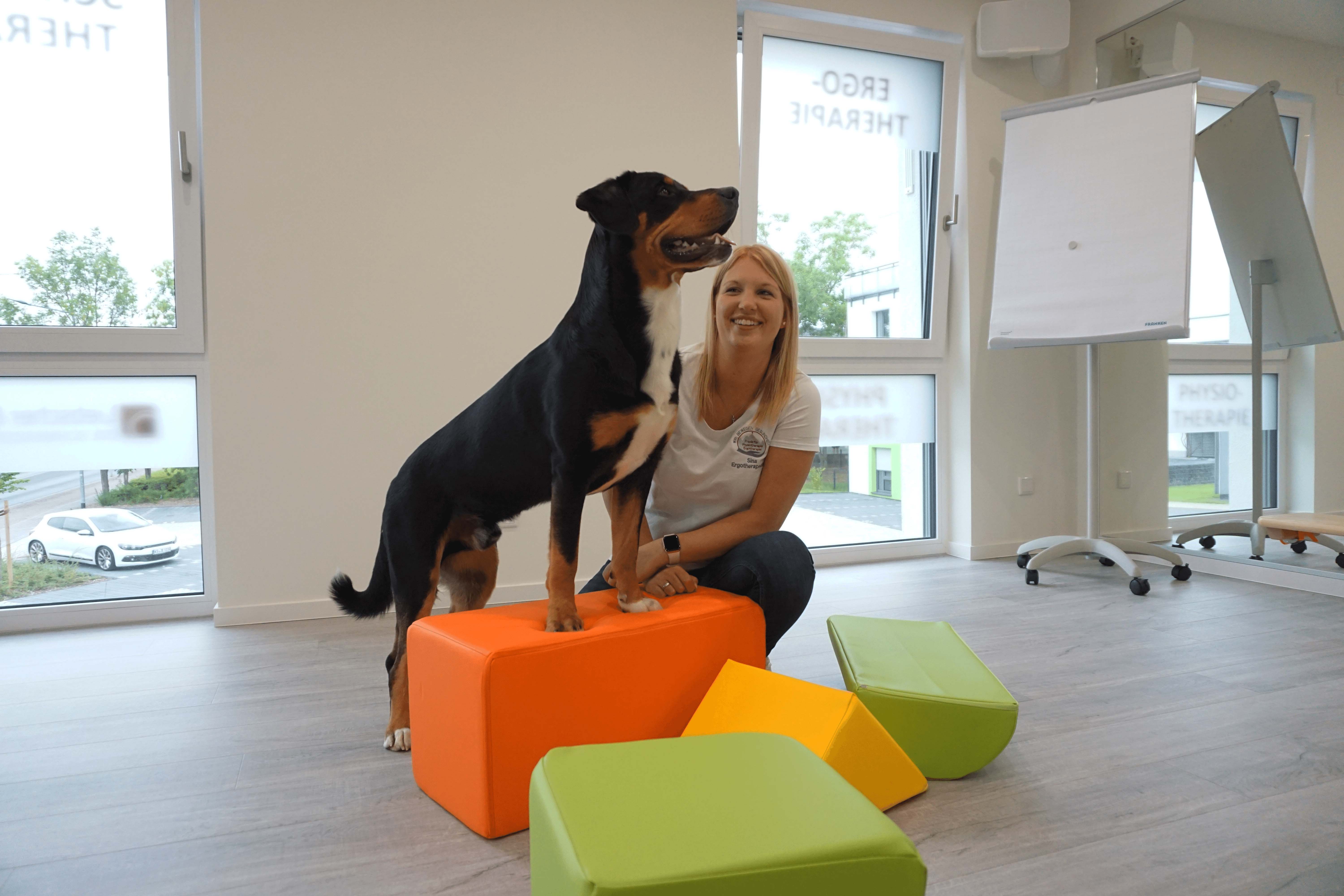 Physiotherapie & Ergotherapie für Kassel. Schmerztherapie nach